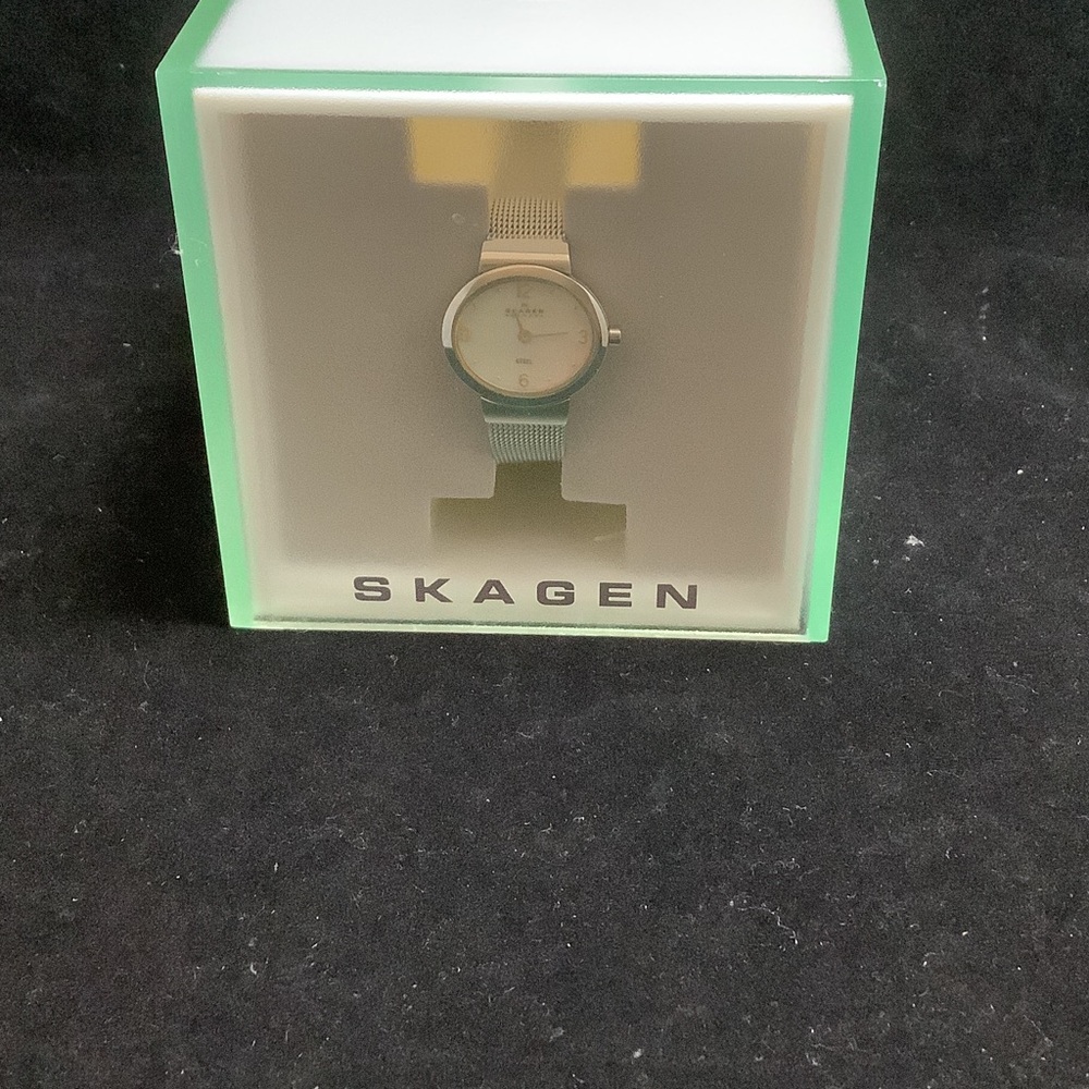 Skagen Silver-Tone Watch with Mesh Band